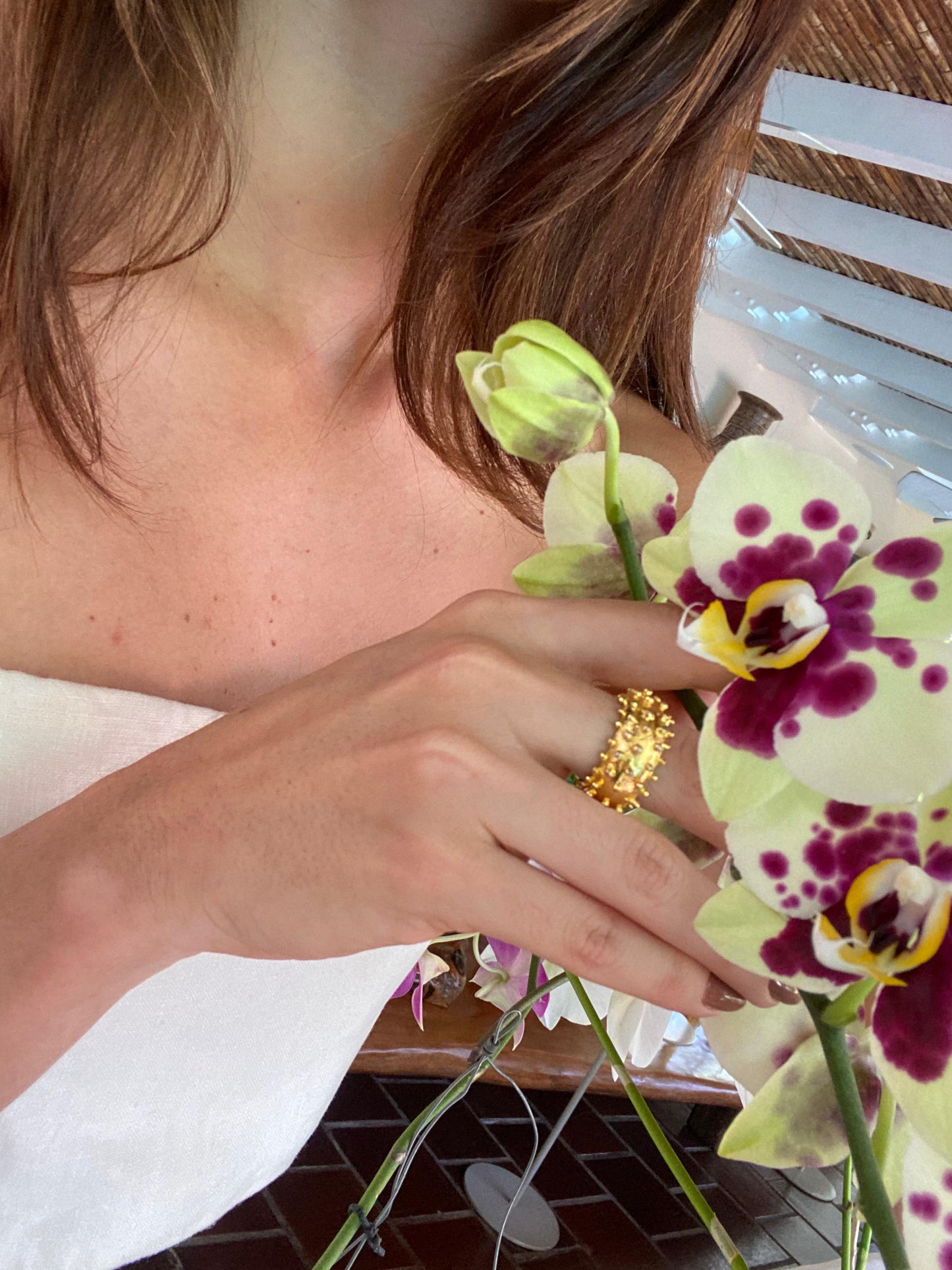 Anillo Reencuentro