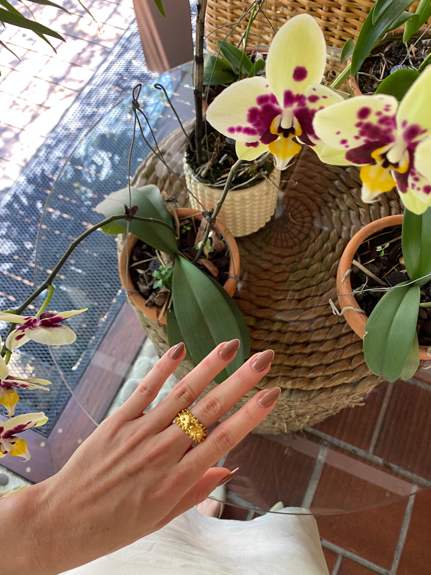Anillo Reencuentro