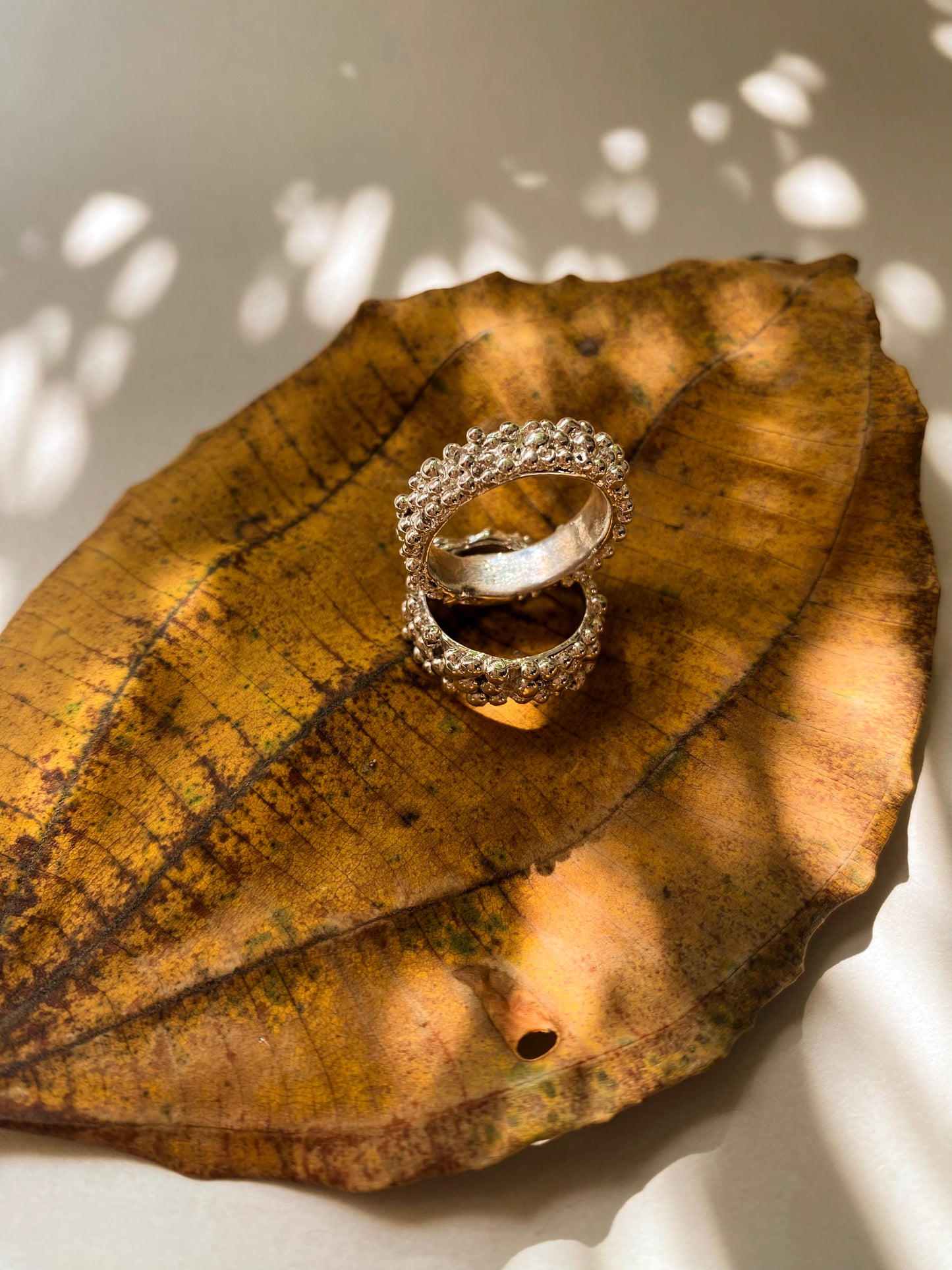Anillo Universo