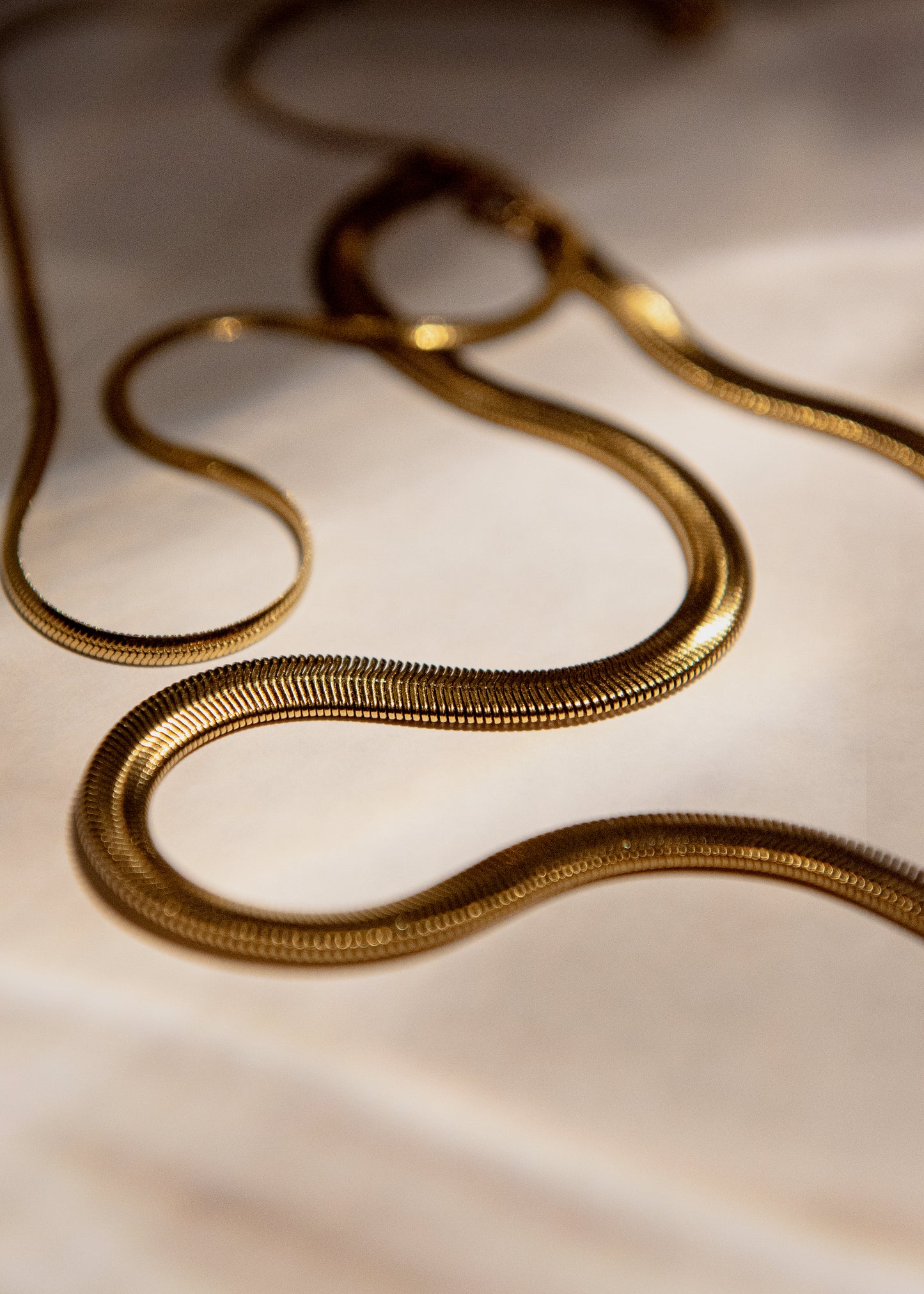 Collar Snake
