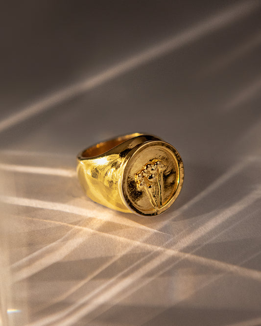 Anillo Daisy